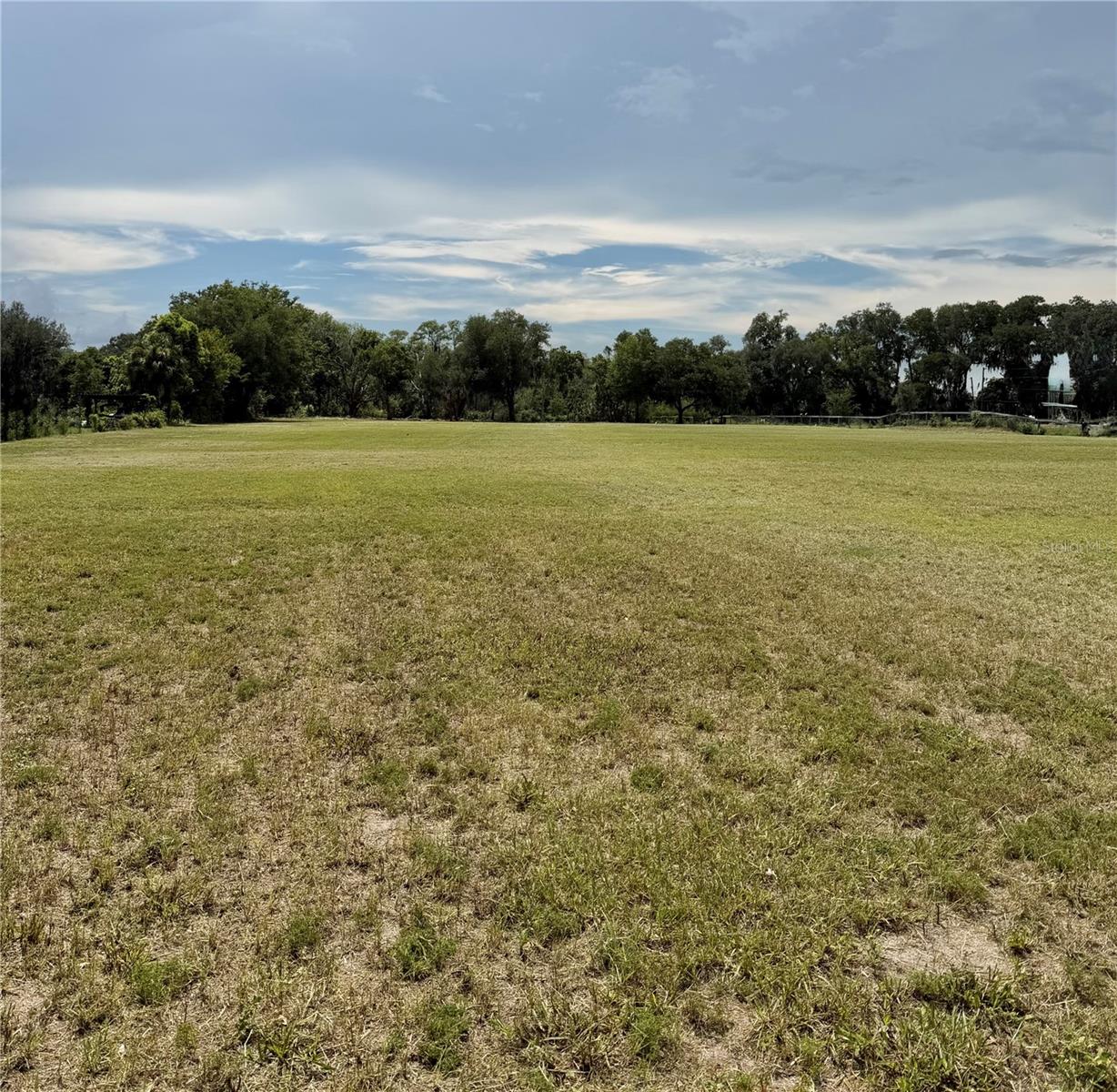 BELLAMY BROTHERS BLVD, DADE CITY, FL — photo 3