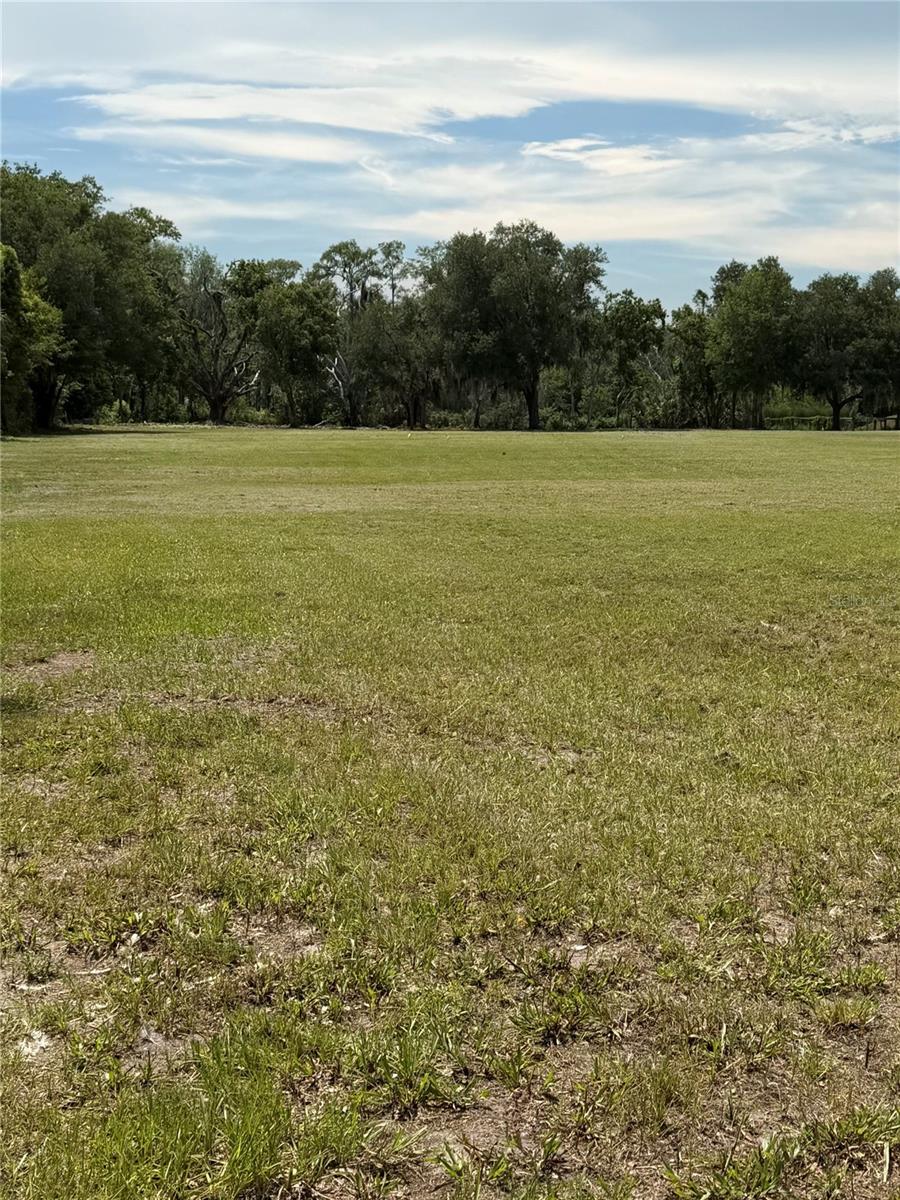 BELLAMY BROTHERS BLVD, DADE CITY, FL — photo 4