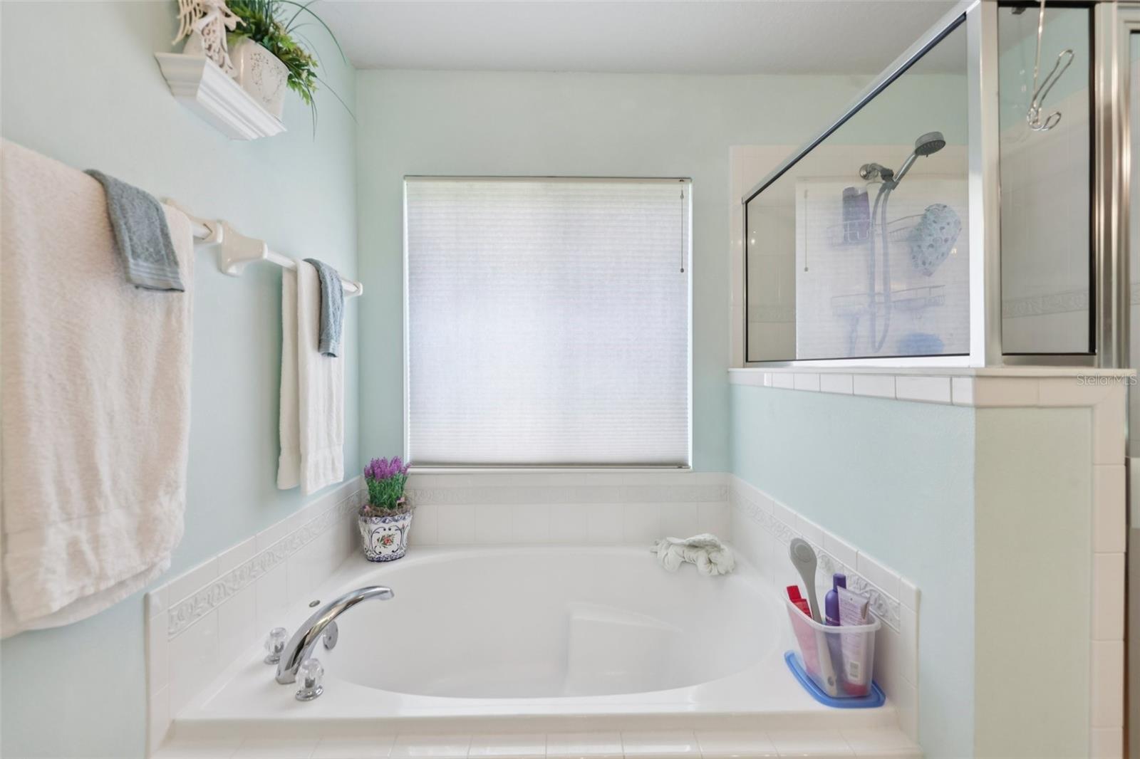 4954 RAINBOW TROUT RD, TAVARES, FL — photo 48