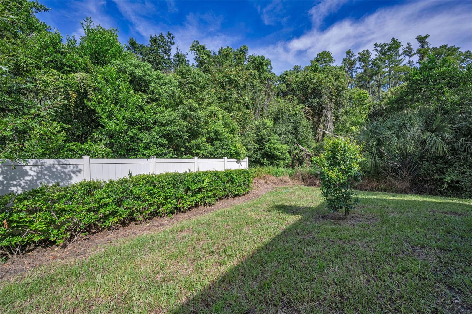 2627 CHARLAN CT, HOLIDAY, FL — photo 79