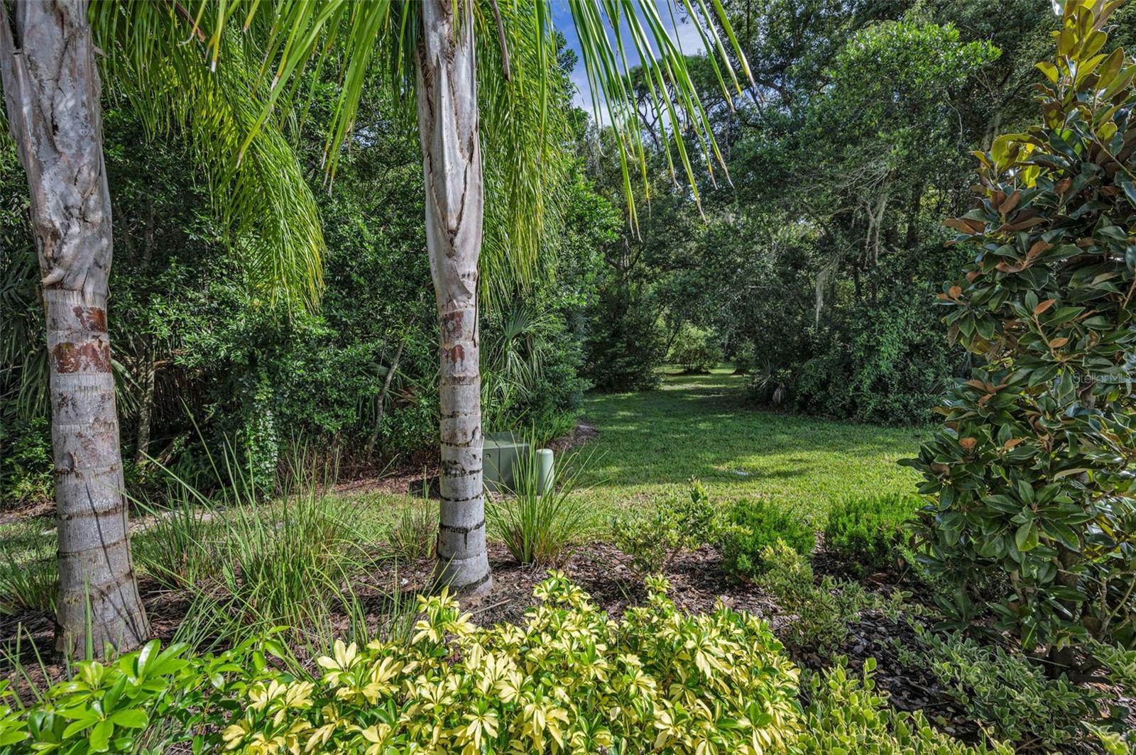 2627 CHARLAN CT, HOLIDAY, FL — photo 81