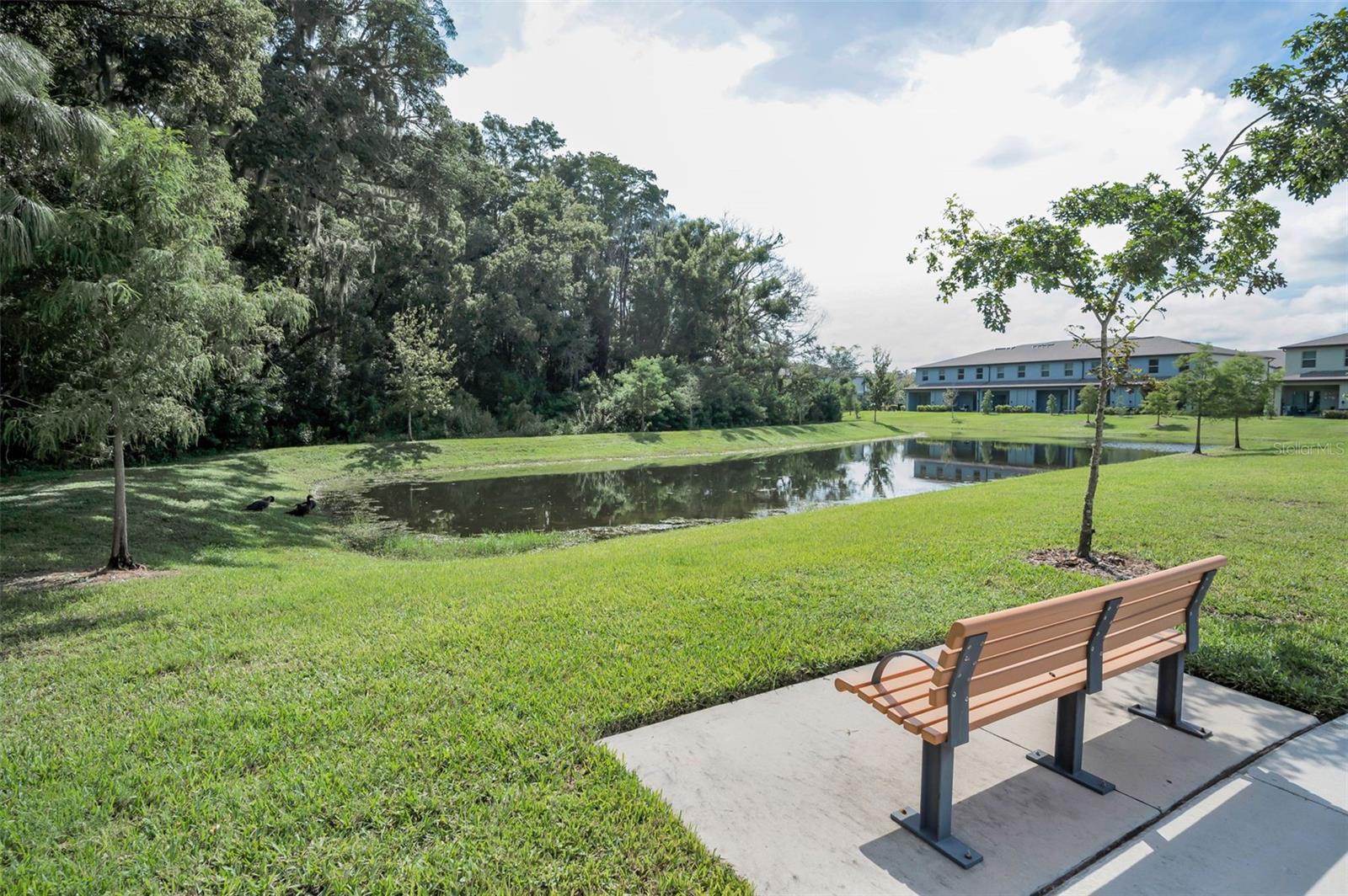 2627 CHARLAN CT, HOLIDAY, FL — photo 93