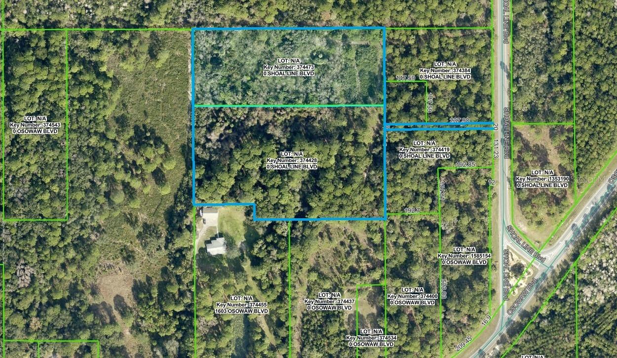 SHOAL LINE BLVD, SPRING HILL, FL — photo 6