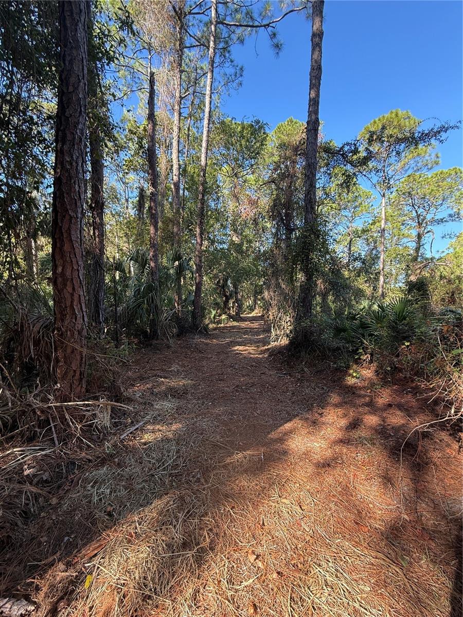 SHOAL LINE BLVD, SPRING HILL, FL — photo 8