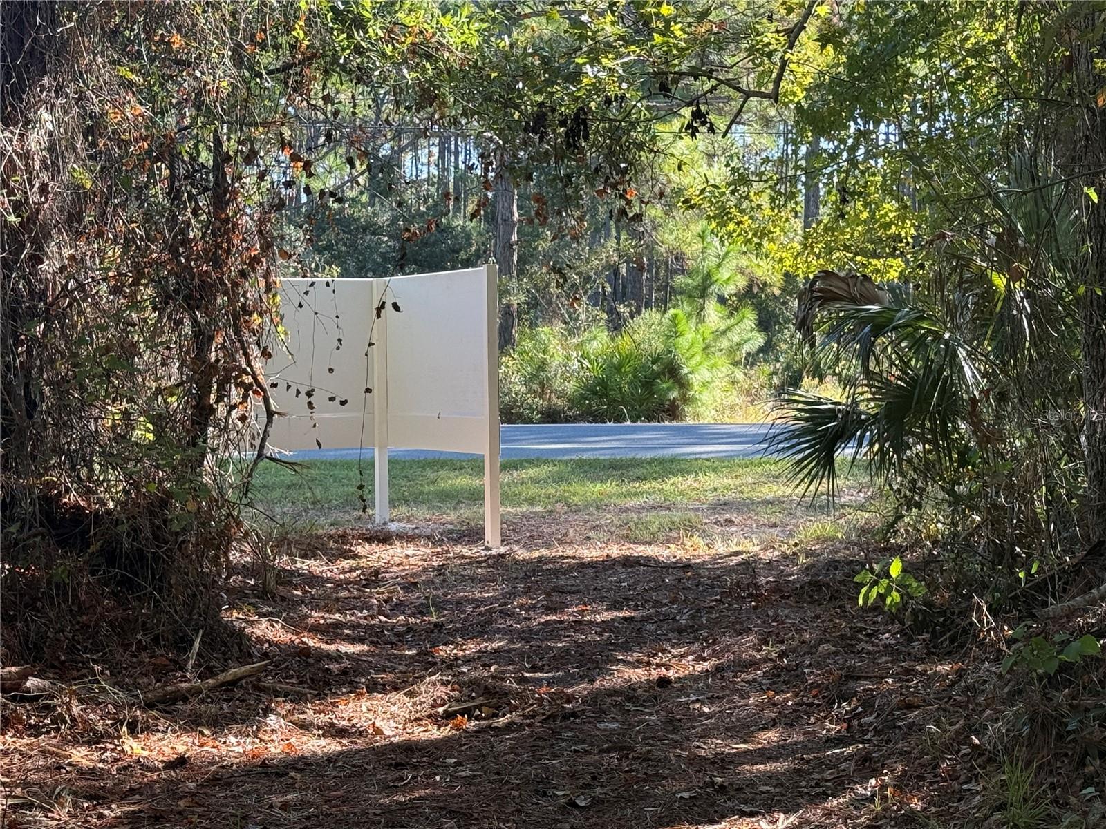 SHOAL LINE BLVD, SPRING HILL, FL — photo 9