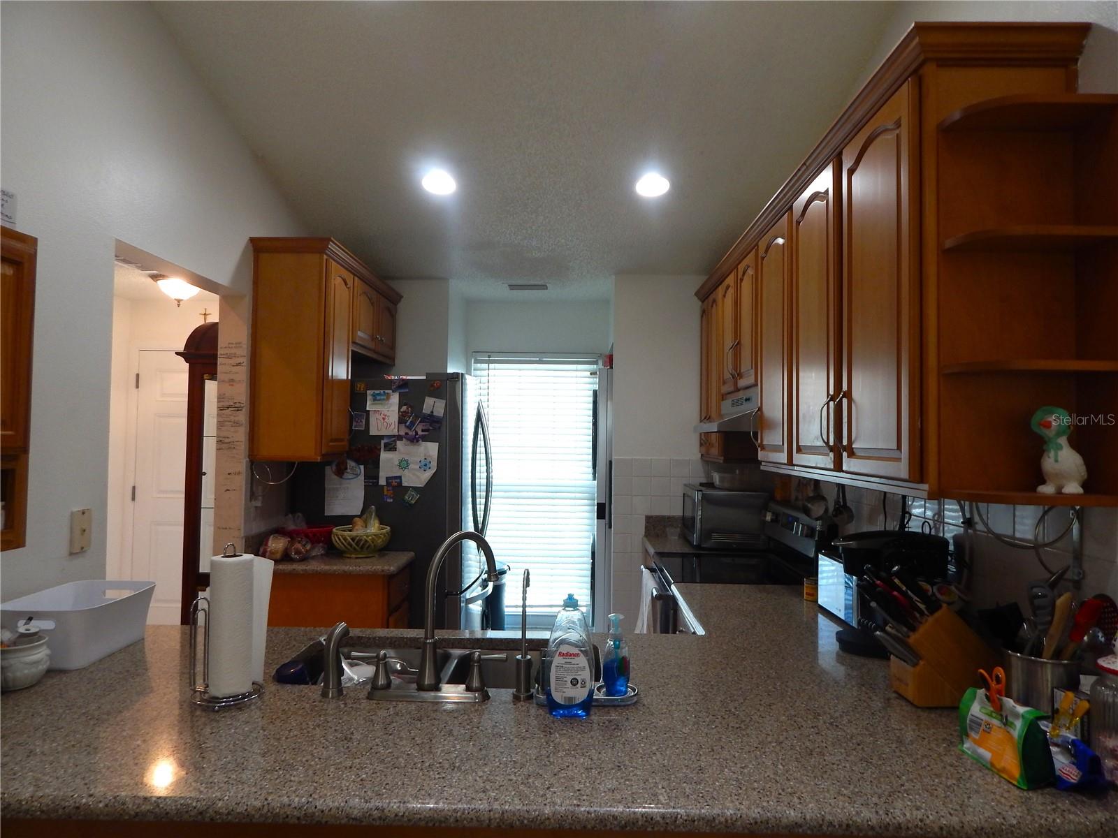 16221 RAMBLING VINE DR W, TAMPA, FL — photo 9