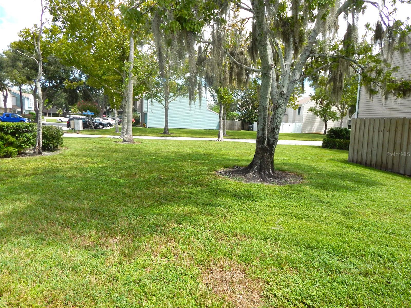 16221 RAMBLING VINE DR W, TAMPA, FL — photo 49