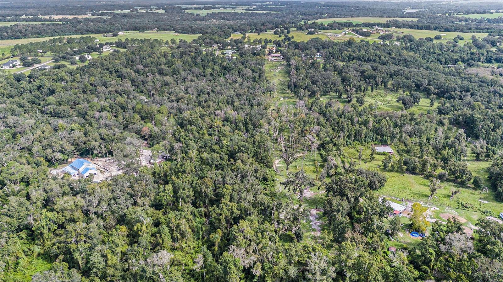 14638 TREELEAF LN, DADE CITY, FL — photo 7