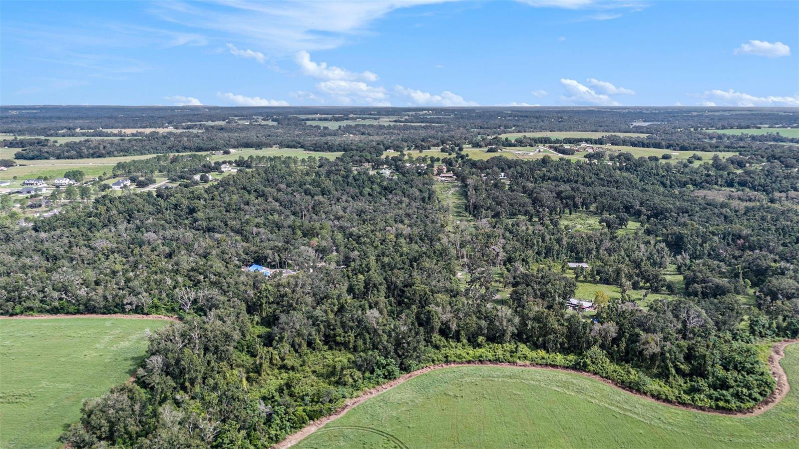 14638 TREELEAF LN, DADE CITY, FL — photo 8