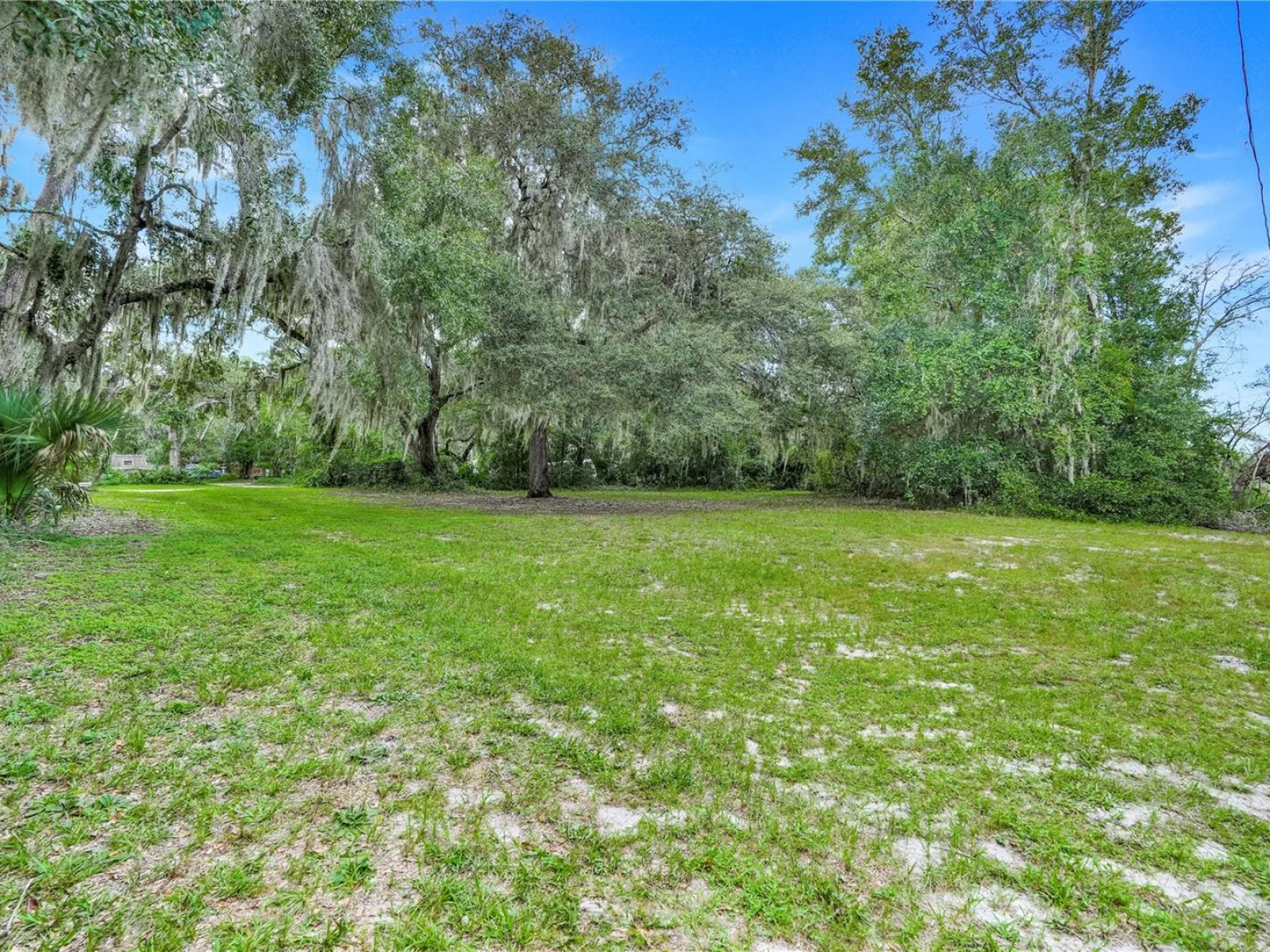 SELMAN RD, LEESBURG, FL — photo 2