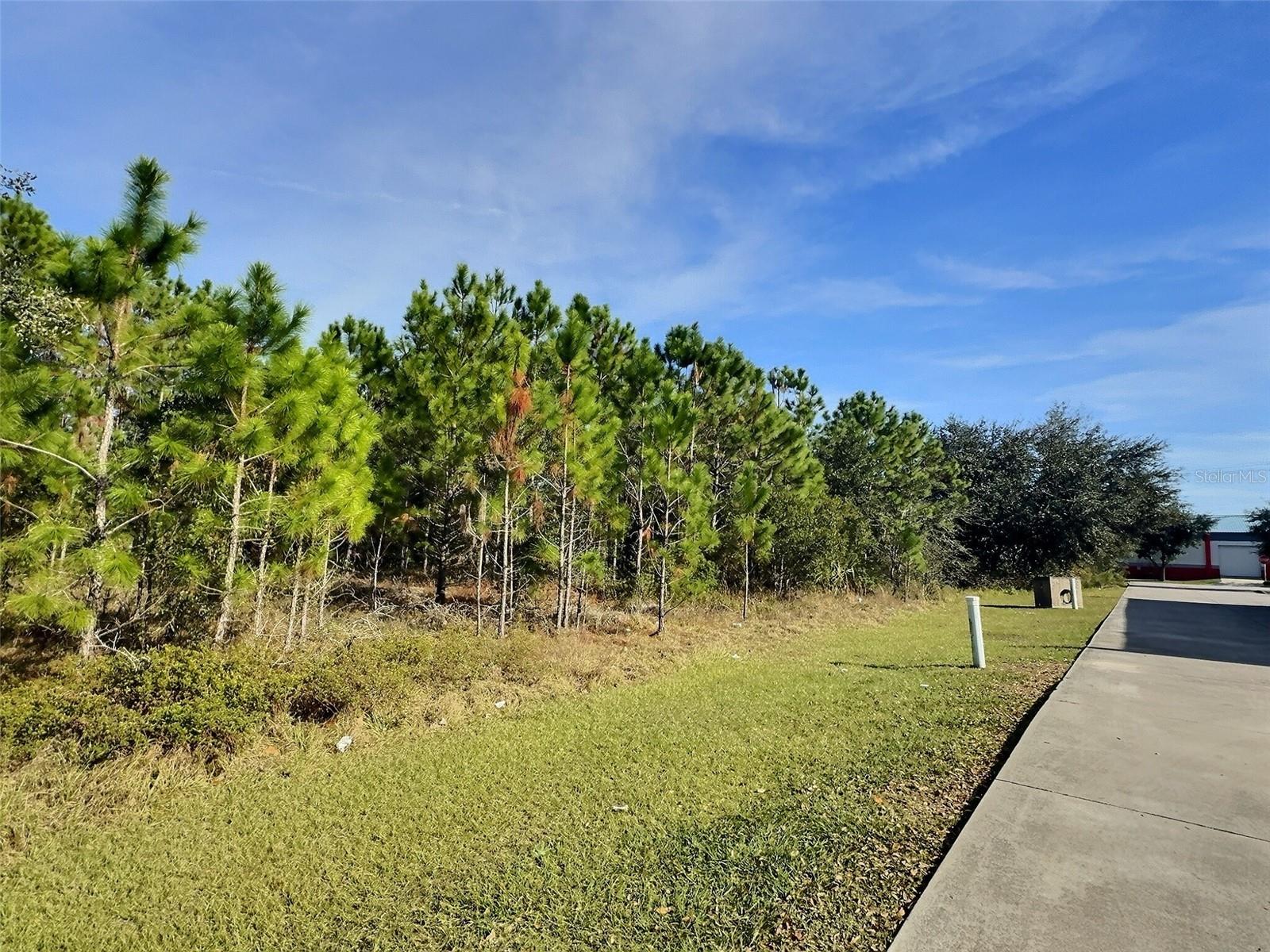 0 N STATE ST, BUNNELL, FL — photo 4