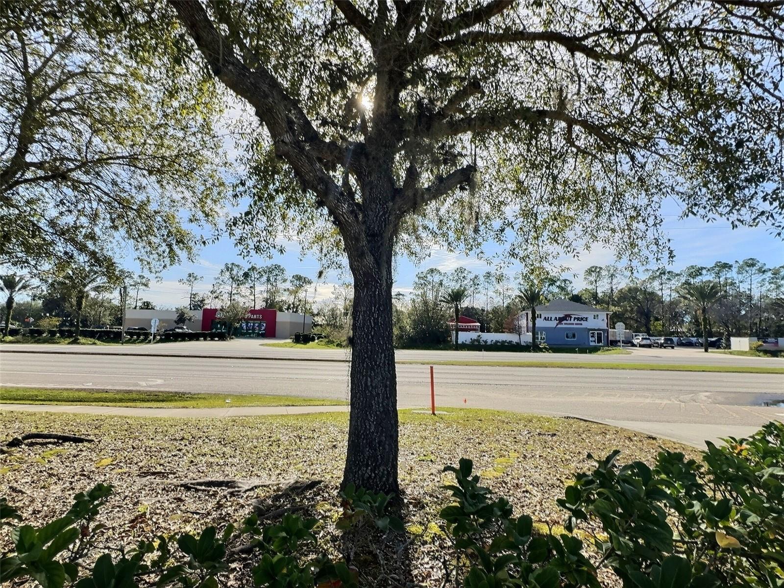 0 N STATE ST, BUNNELL, FL — photo 8