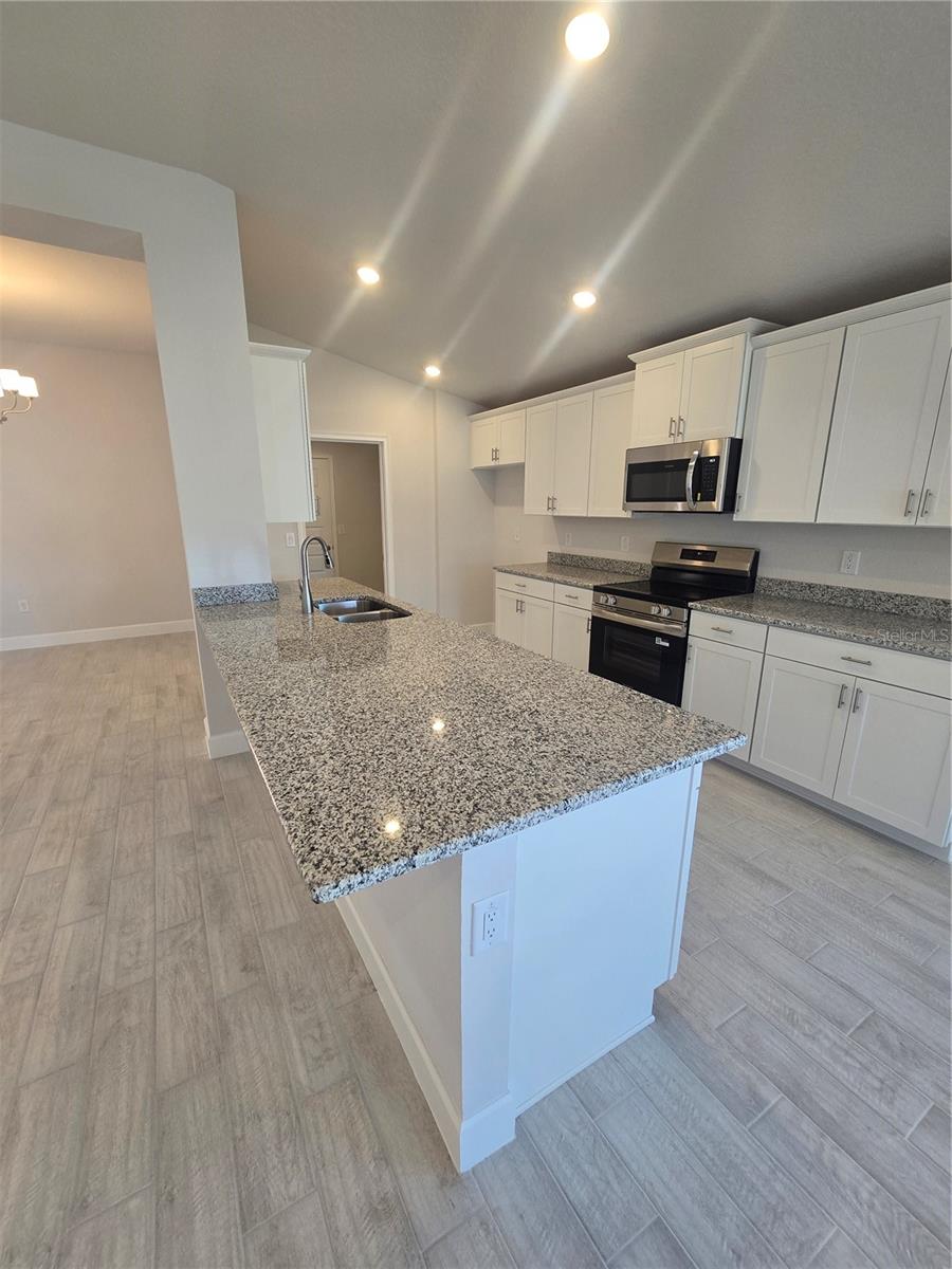 1160 HERON POINT DR, INVERNESS, FL — photo 15
