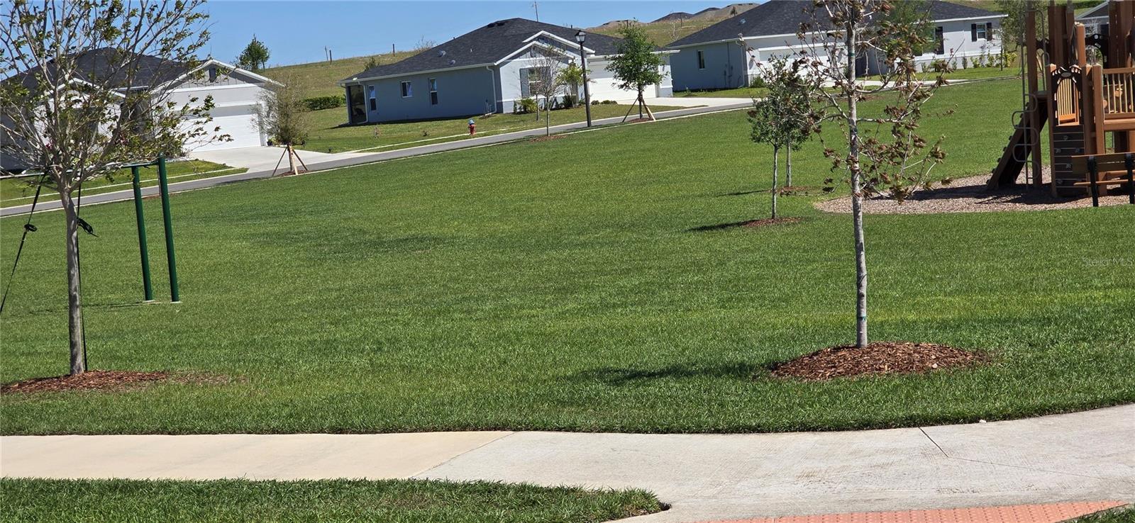 1446 GERANIUM DR, MASCOTTE, FL — photo 41
