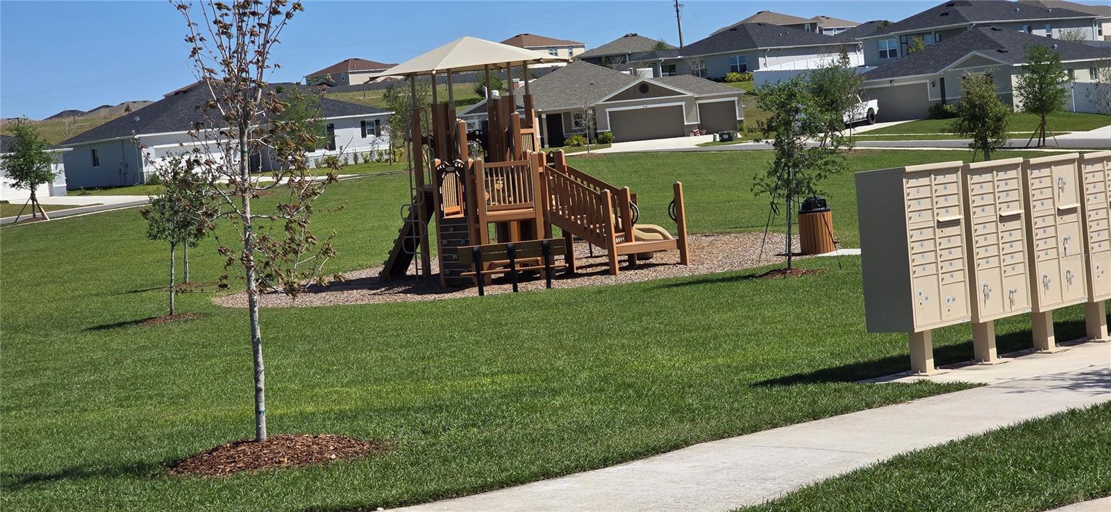 1446 GERANIUM DR, MASCOTTE, FL — photo 48