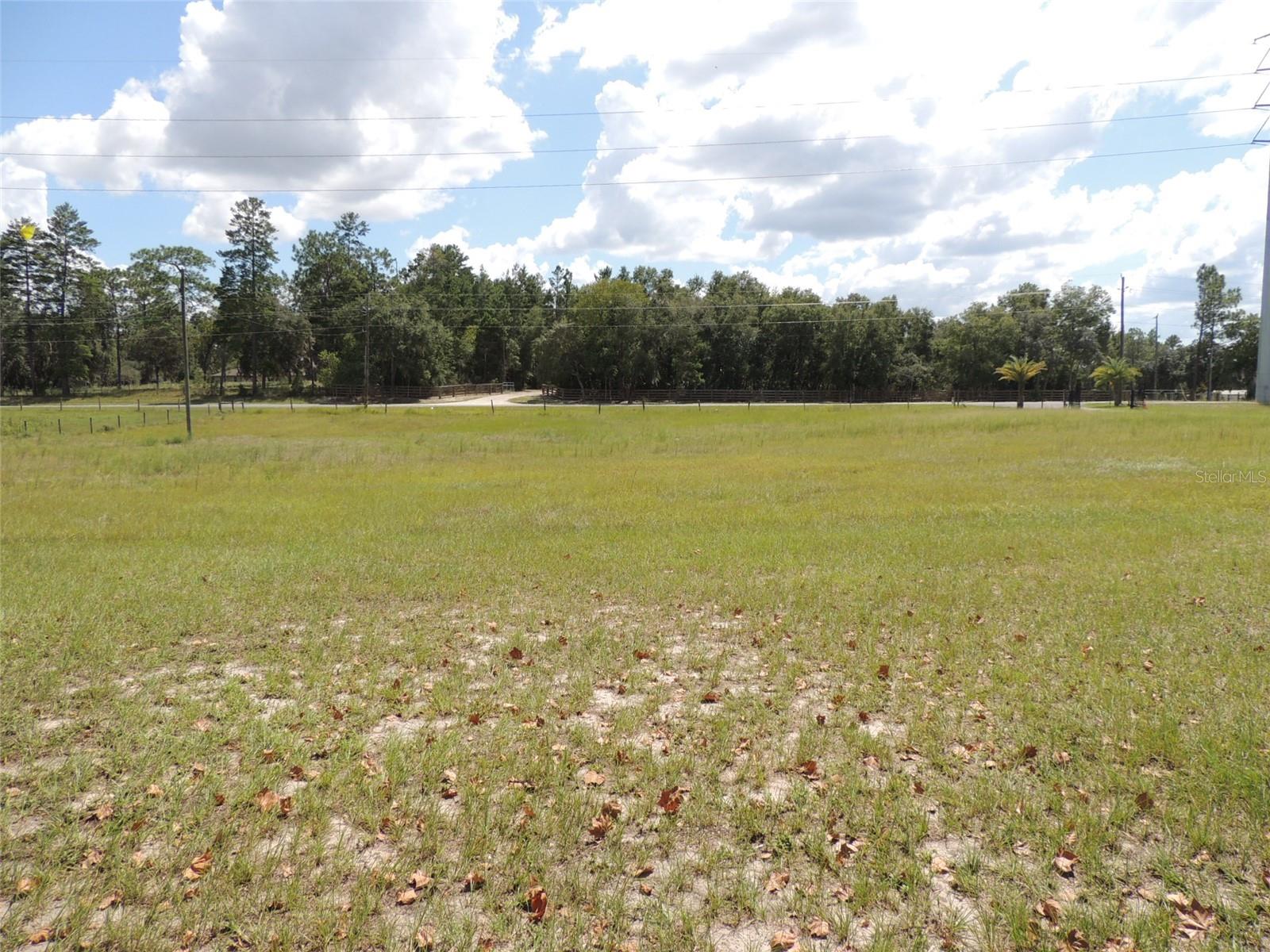 9871 NE 60TH ST, BRONSON, FL — photo 9