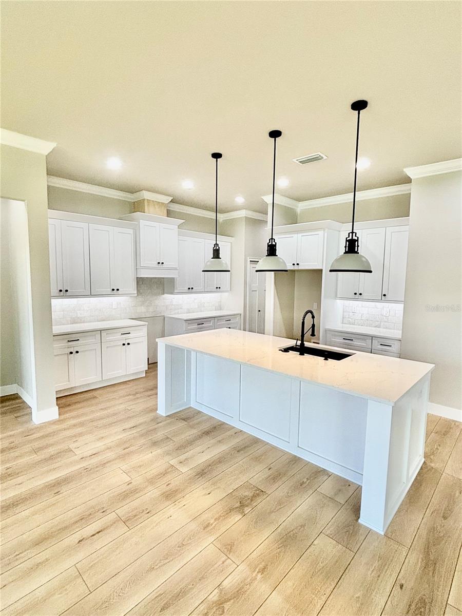 20488 NW 160TH LN, HIGH SPRINGS, FL — photo 8