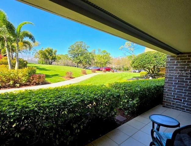 36750 US HIGHWAY 19 N #4-107, PALM HARBOR, FL — photo 3