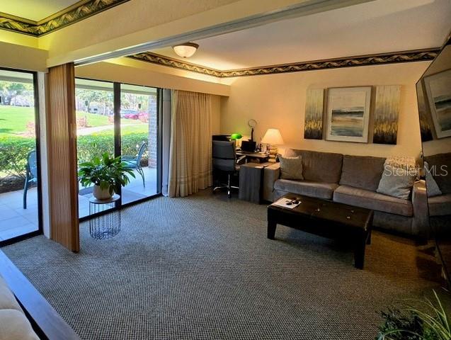 36750 US HIGHWAY 19 N #4-107, PALM HARBOR, FL — photo 9