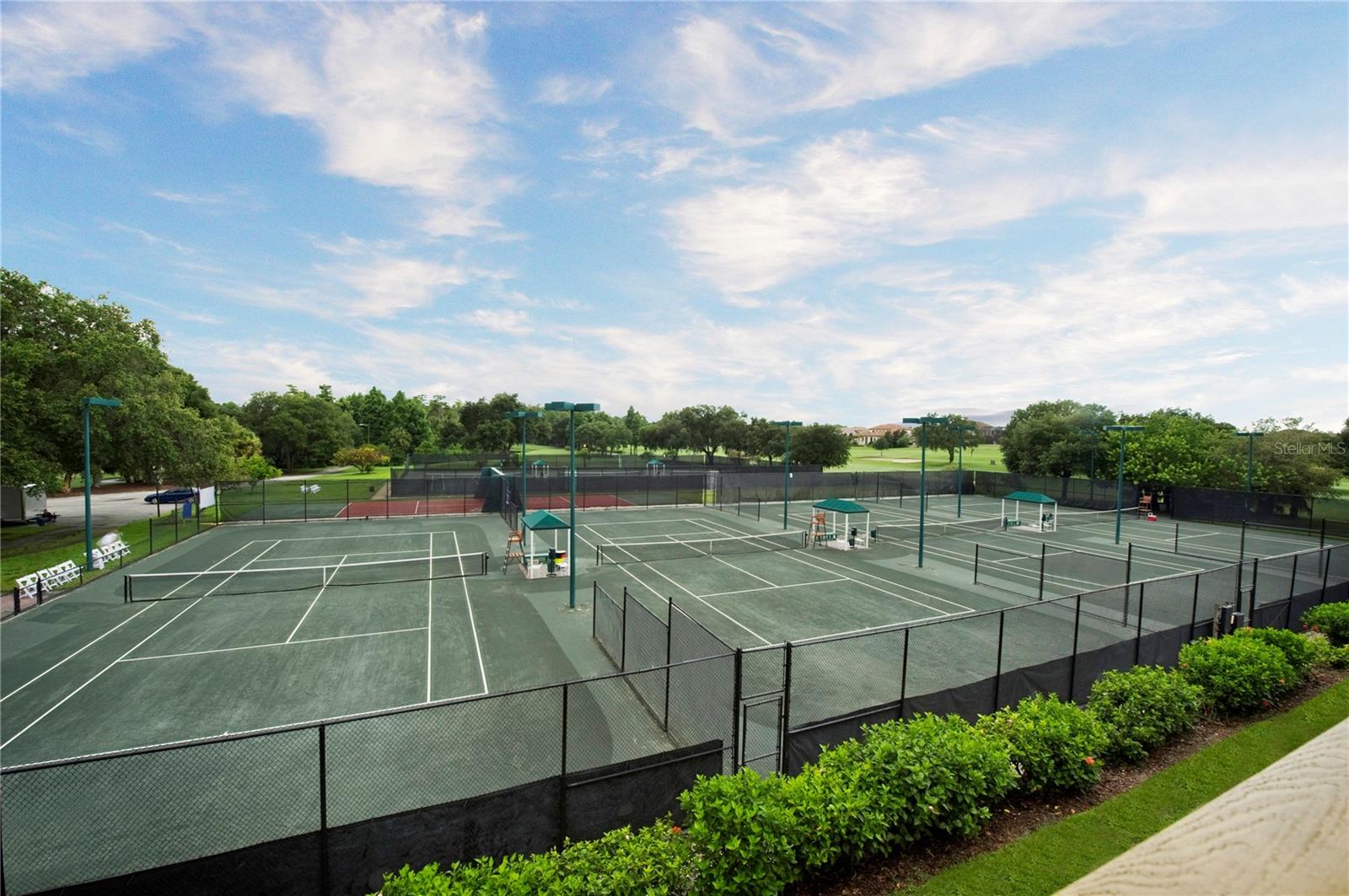 36750 US HIGHWAY 19 N #4-107, PALM HARBOR, FL — photo 38
