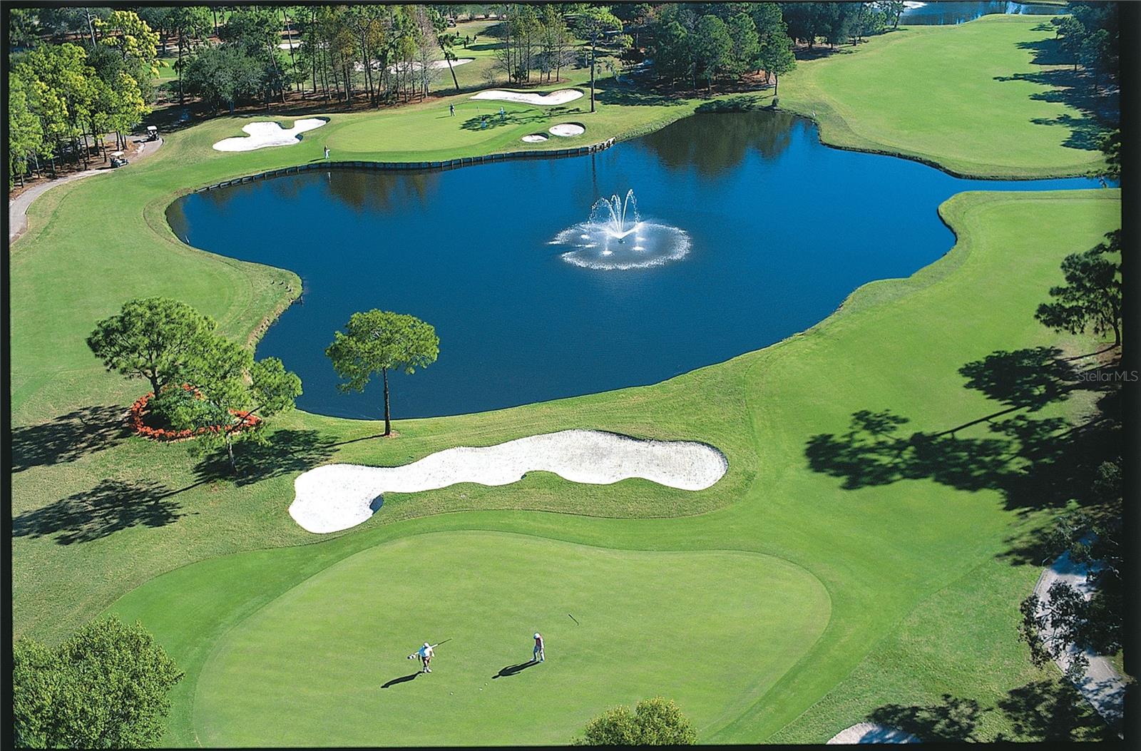 36750 US HIGHWAY 19 N #4-107, PALM HARBOR, FL — photo 40