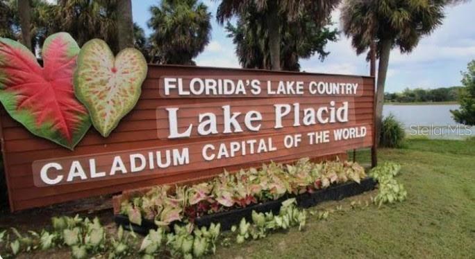 450 KEMPER AVE, LAKE PLACID, FL — photo 5