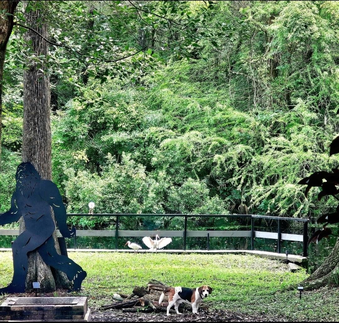 353 N ROBIN HOOD RD, INVERNESS, FL — photo 43