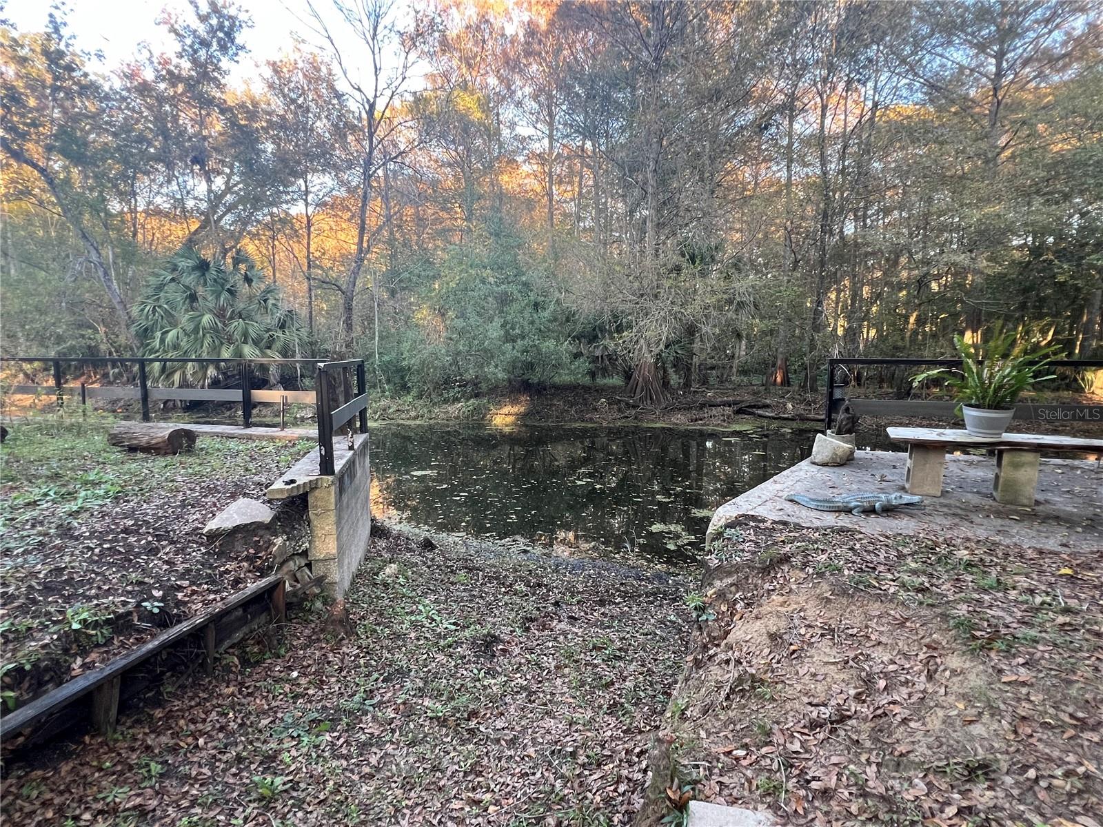353 N ROBIN HOOD RD, INVERNESS, FL — photo 48