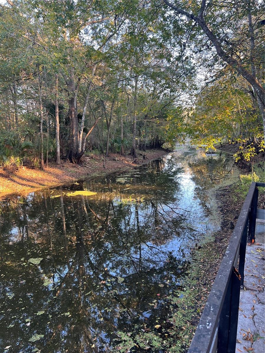 353 N ROBIN HOOD RD, INVERNESS, FL — photo 53