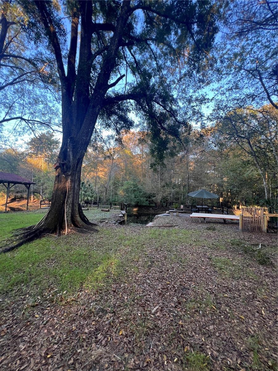 353 N ROBIN HOOD RD, INVERNESS, FL — photo 57