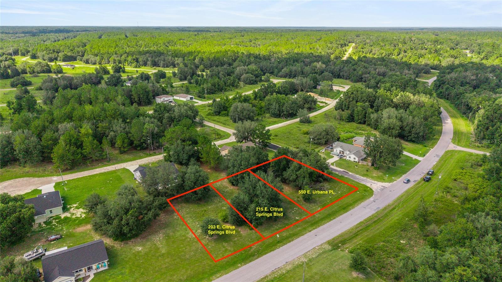 203 & 215 E CITRUS SPRINGS BLVD, CITRUS SPRINGS, FL — photo 4