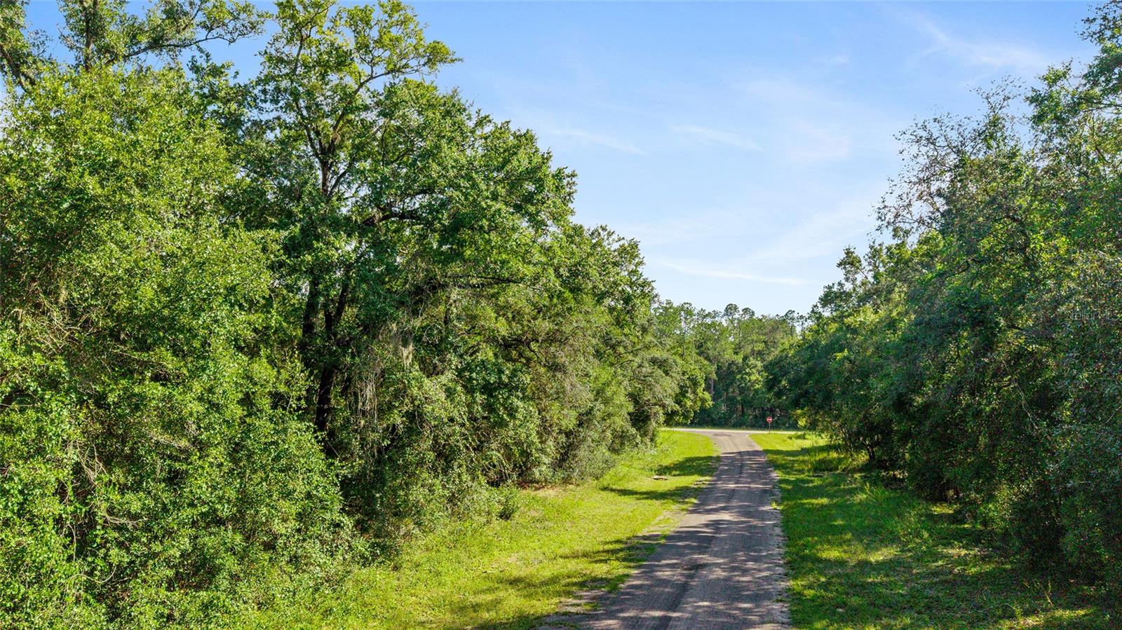 11023 N GLENDA TER, DUNNELLON, FL — photo 4