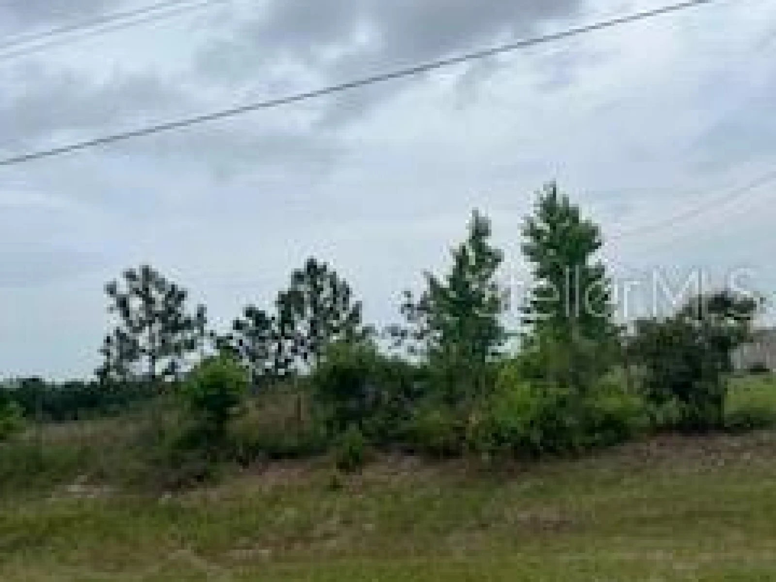 104TH ST, LIVE OAK, FL — photo 2