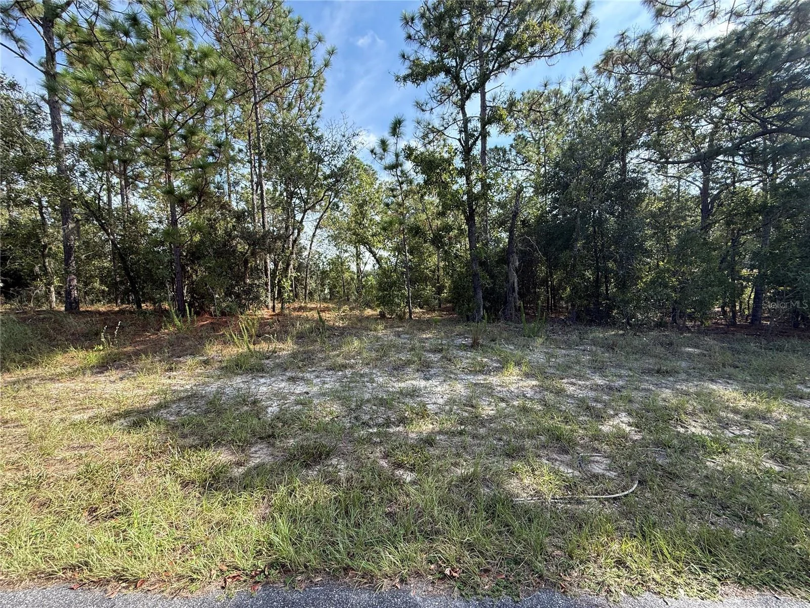 9339 N MILAM WAY, CITRUS SPRINGS, FL — photo 3