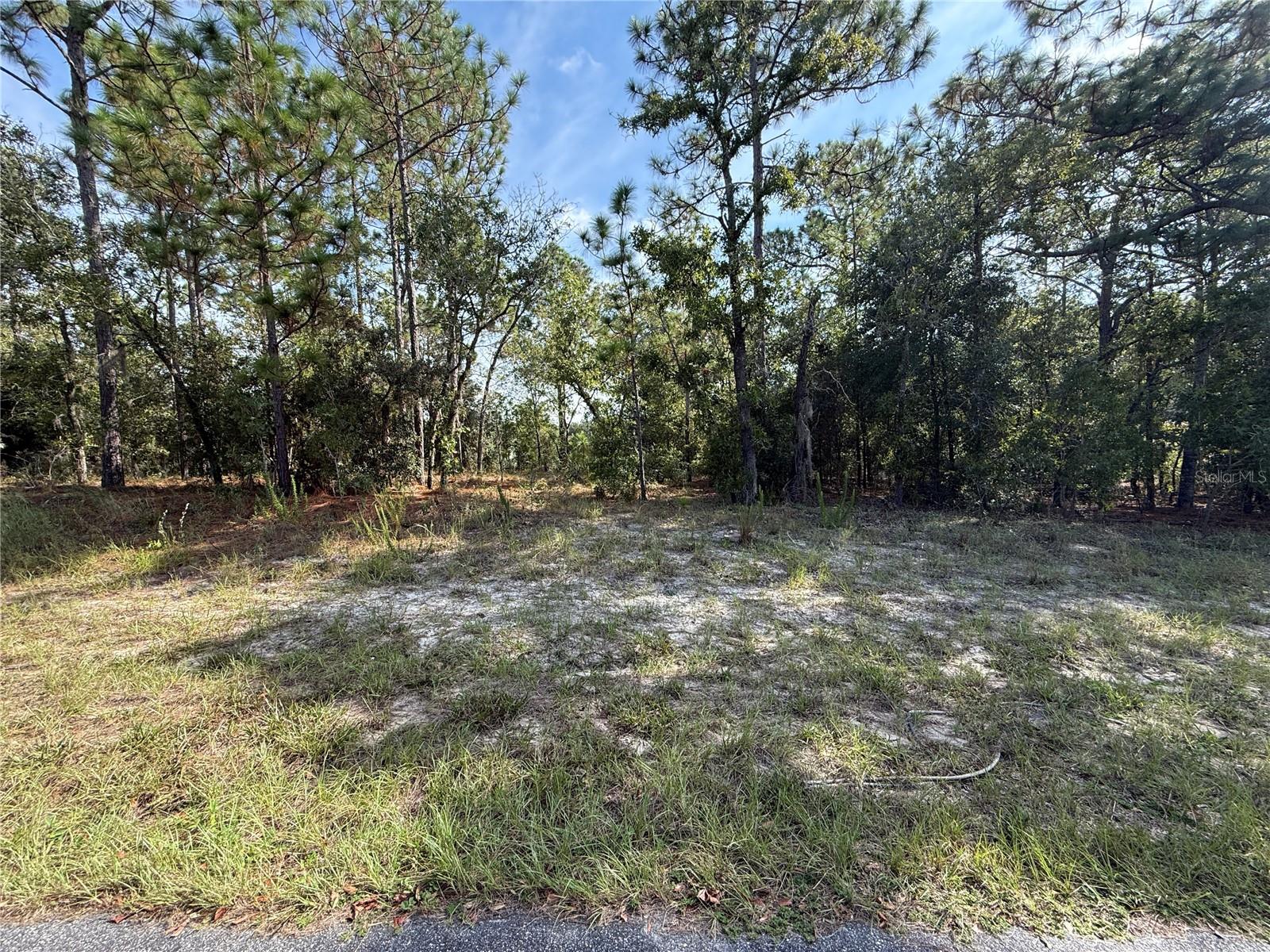 9339 N MILAM WAY, CITRUS SPRINGS, FL — photo 4