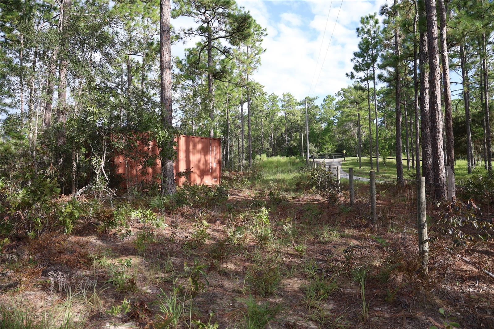 403 MELROSE LANDING, HAWTHORNE, FL — photo 3
