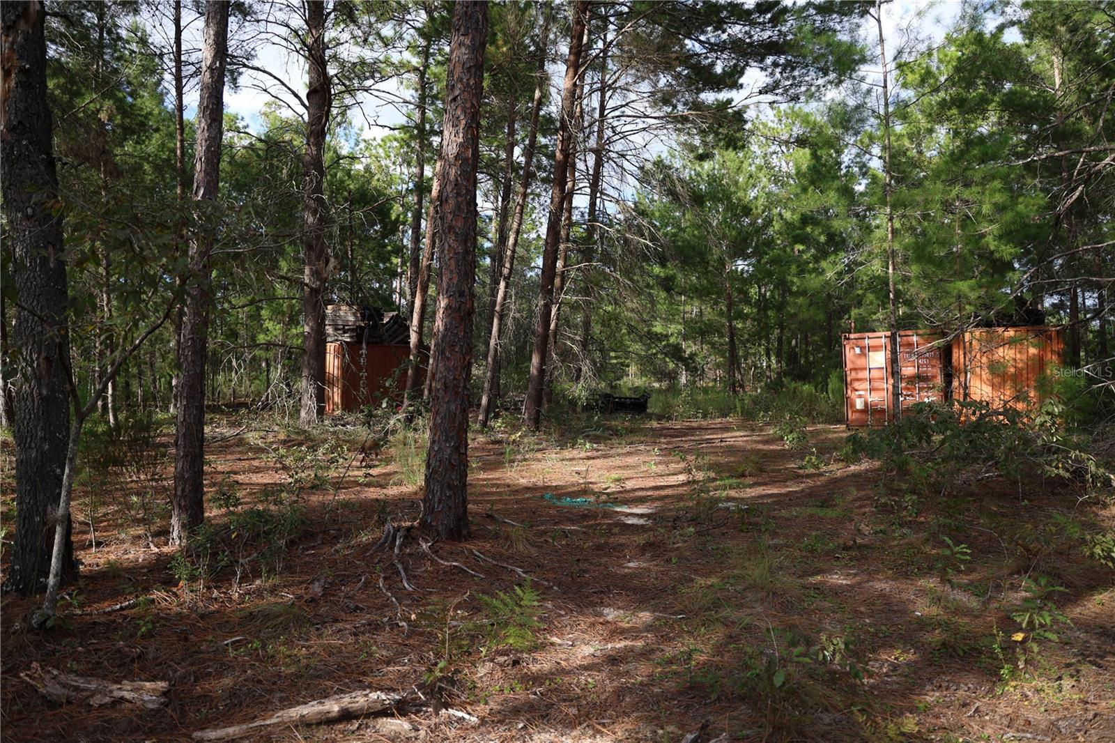 403 MELROSE LANDING, HAWTHORNE, FL — photo 4
