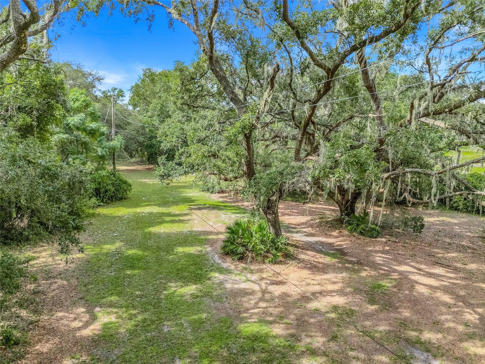 1440 SELMAN RD, LEESBURG, FL — photo 69