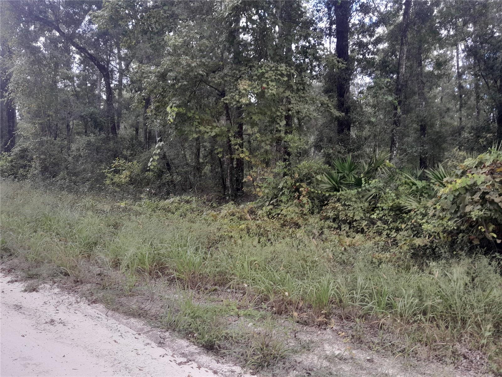 TBD NE 292ND AVE, OLD TOWN, FL