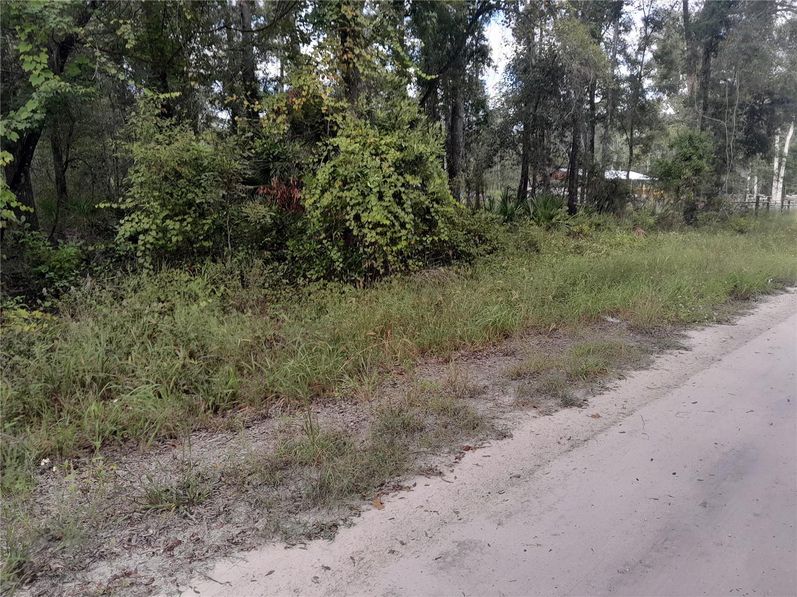 TBD NE 292ND AVE, OLD TOWN, FL — photo 6