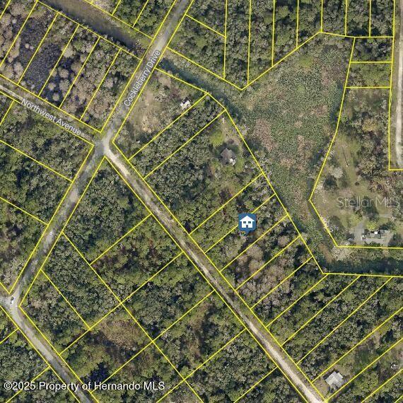 lOT 7 NORTHWEST AVE, WEBSTER, FL