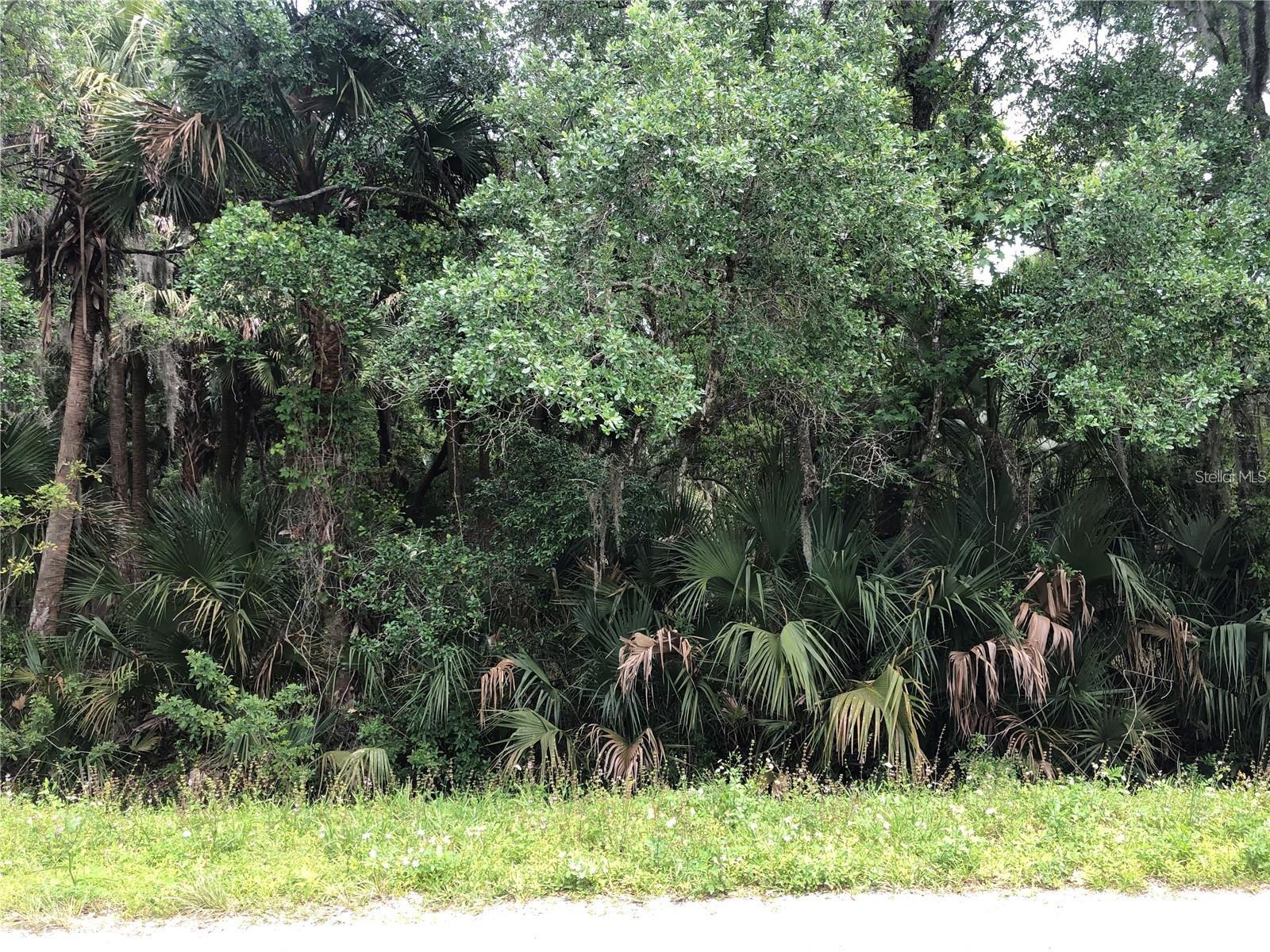S MELLONVILLE AVE, SANFORD, FL — photo 10