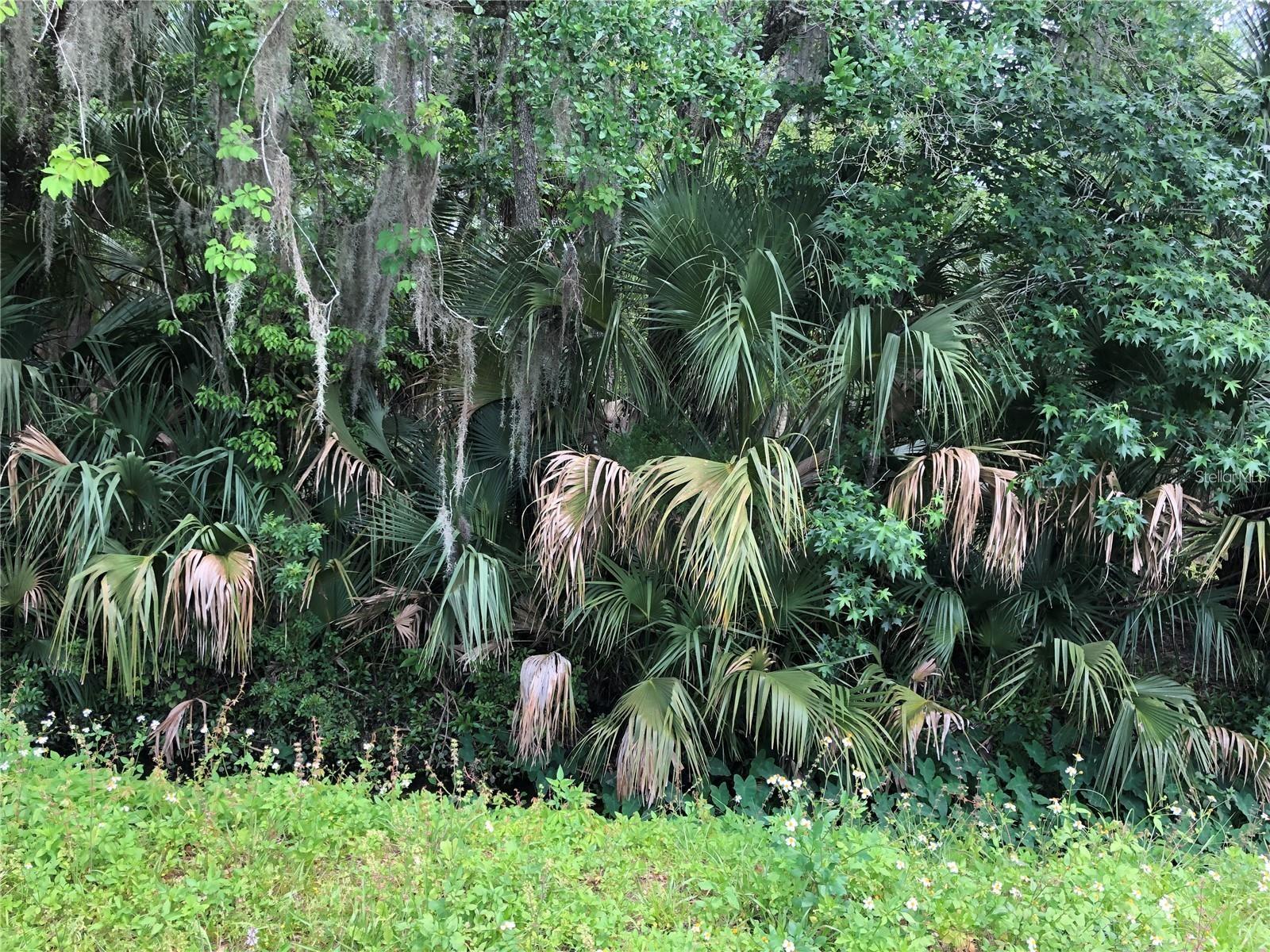 S MELLONVILLE AVE, SANFORD, FL — photo 11