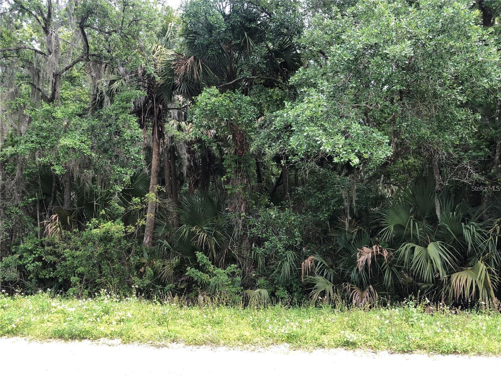 S MELLONVILLE AVE, SANFORD, FL — photo 12
