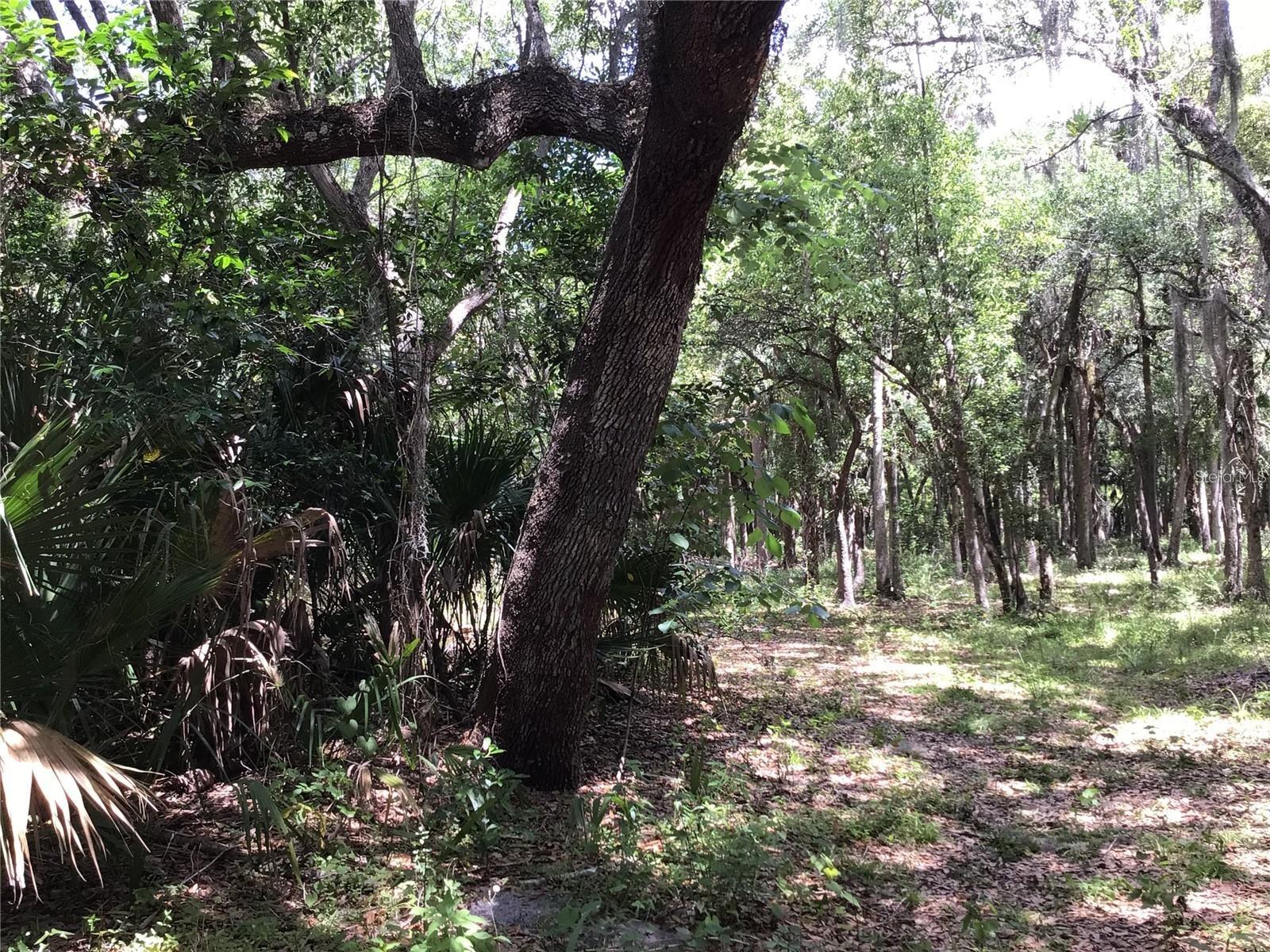 S MELLONVILLE AVE, SANFORD, FL — photo 13