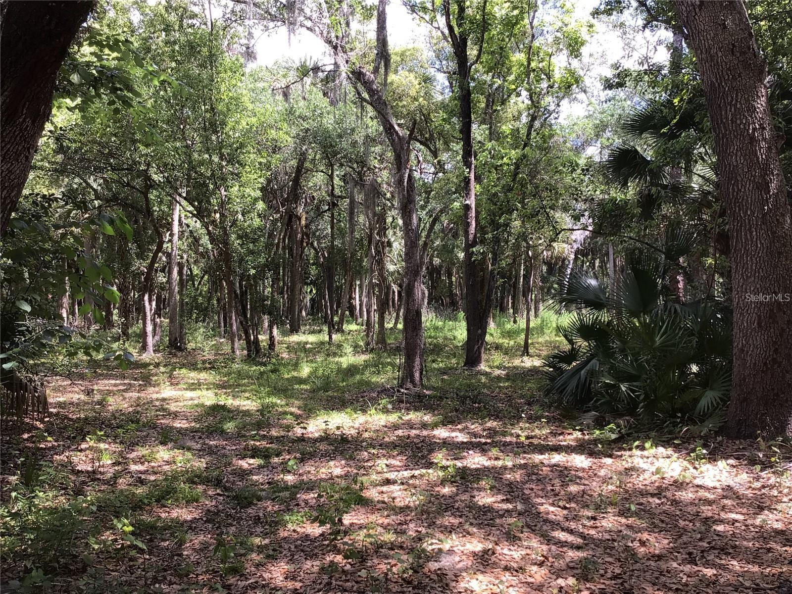 S MELLONVILLE AVE, SANFORD, FL — photo 14