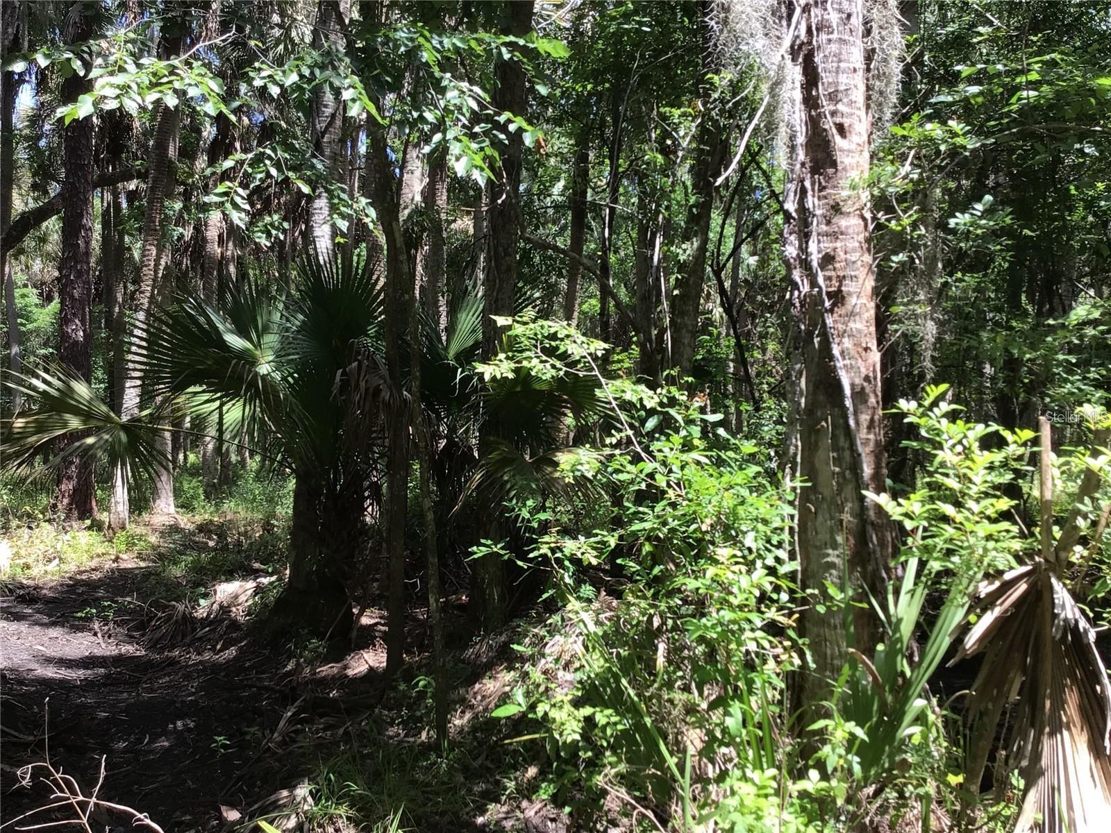 S MELLONVILLE AVE, SANFORD, FL — photo 15