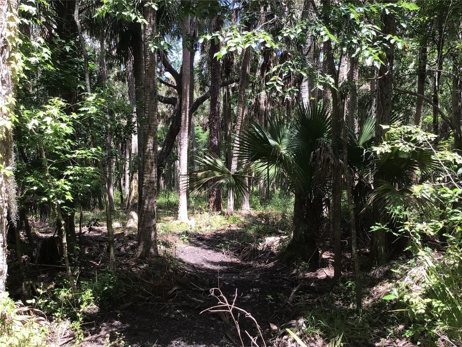 S MELLONVILLE AVE, SANFORD, FL — photo 16