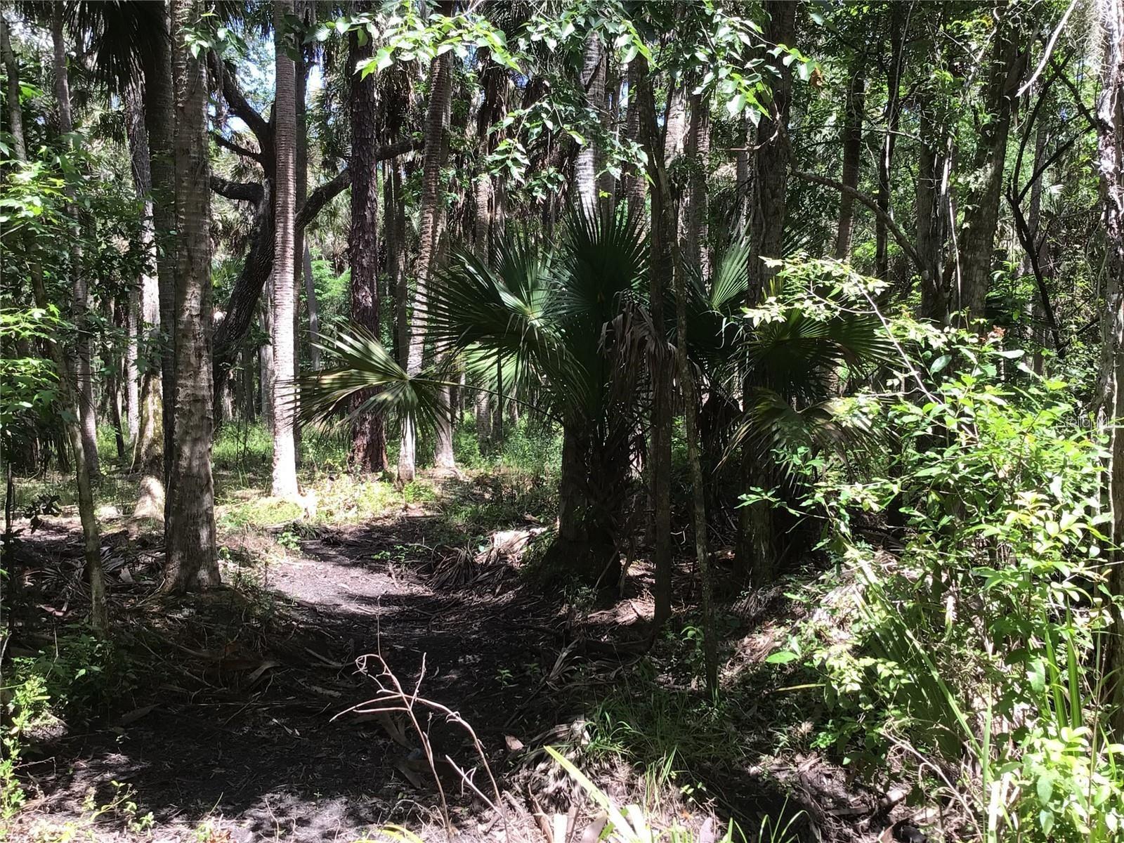 S MELLONVILLE AVE, SANFORD, FL — photo 17