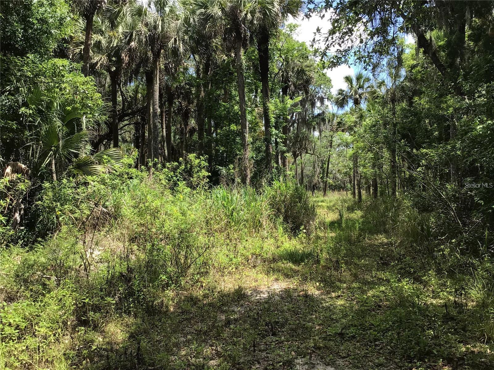S MELLONVILLE AVE, SANFORD, FL — photo 18